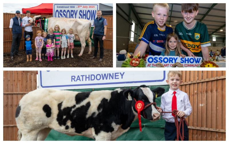 PICTURES: Laois embraces tradition with fun day at Ossory Show 
