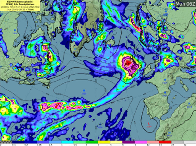 storm floris