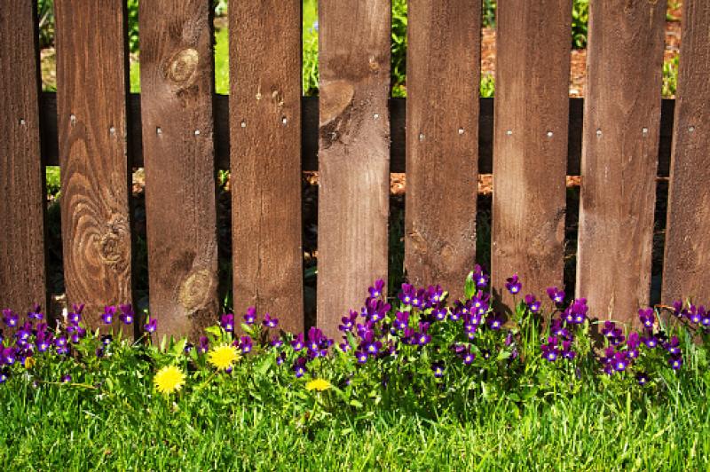 Time running out to enter Laois County Council’s Best Front Garden Competition