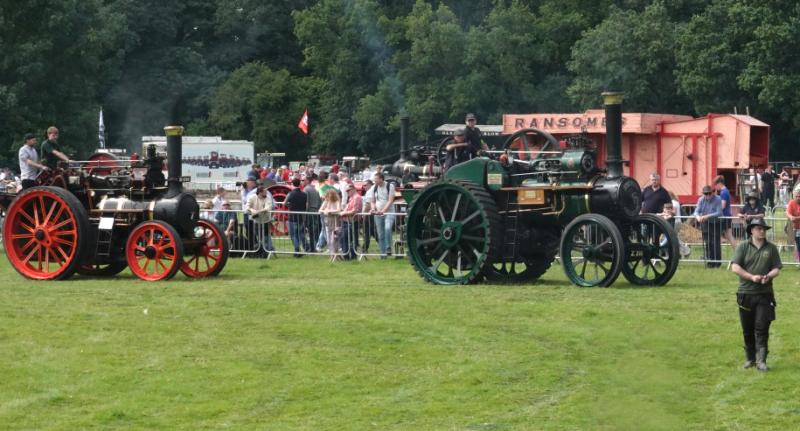 Cars 'keyed' on street during Stradbally Steam Rally in Laois