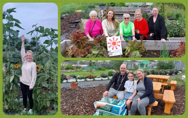 'It's like you're in the country, it's so peaceful' - urban Laois organic allotments