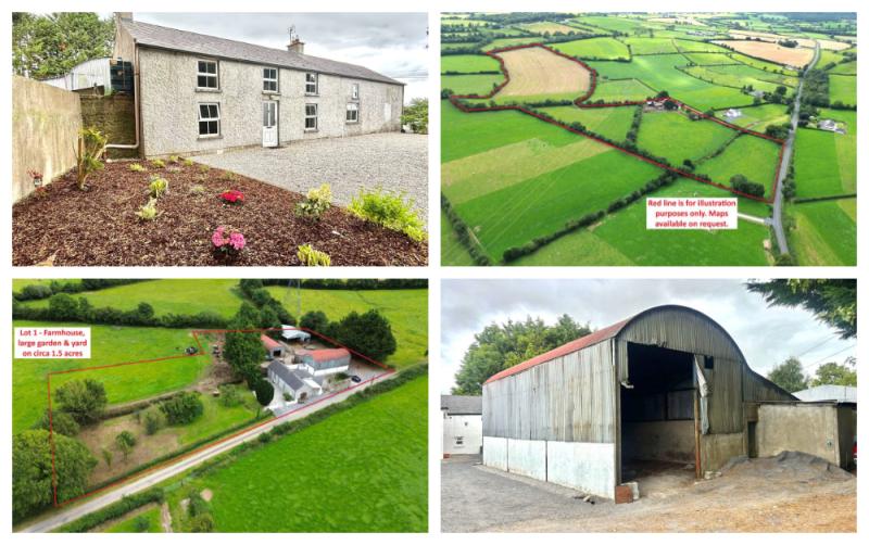PICTURES: Laois farm on 31 acres to go under the hammer 