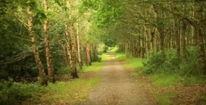 Laois walking trails and outdoor amenities get big boost 
