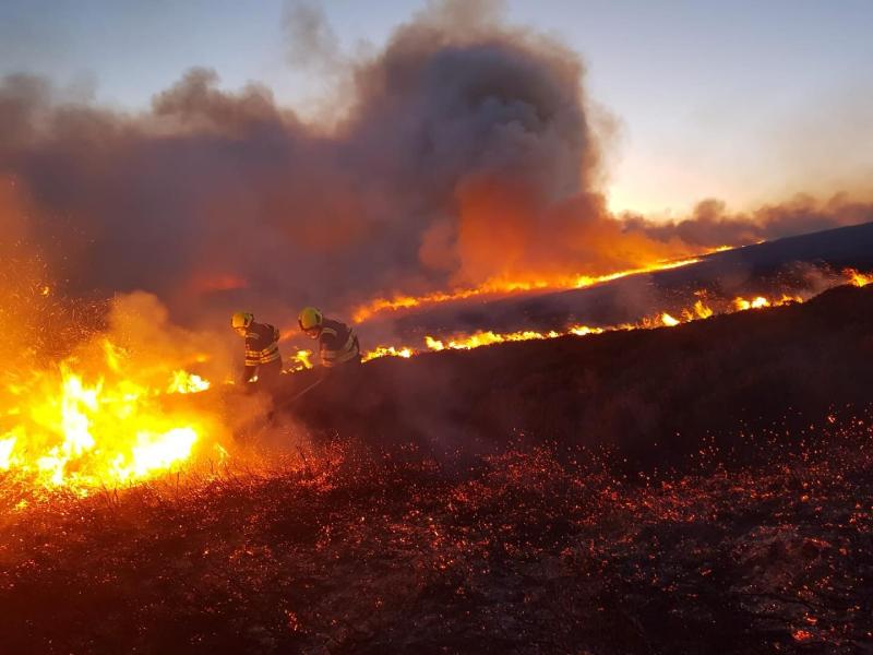 Orange warning issued for forest fire danger in Laois 