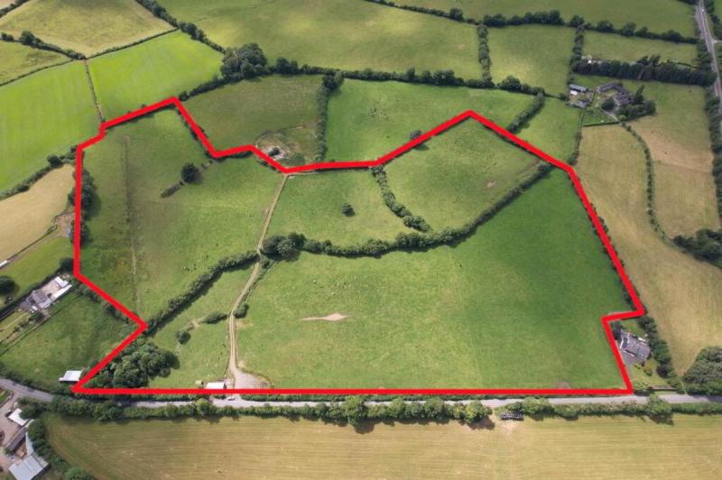 Over 30 acres of 'top grazing' land in Laois for sale by auction 