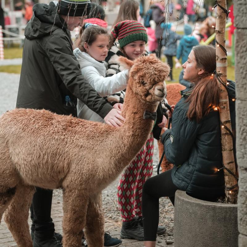 Hugely popular Laois Christmas event announces date 