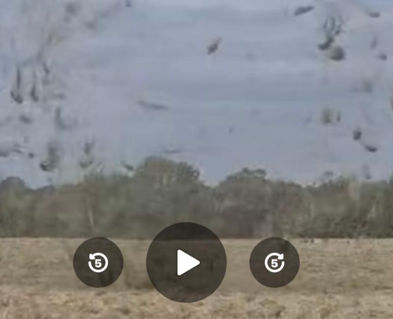 Twister caught on camera in Ireland? Odd weather as expert issues update