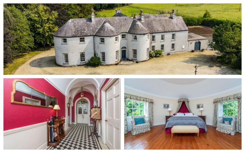 PICTURES: Beautiful mansion on Laois border to go under the hammer 
