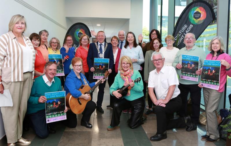 Plans ramp up in Laois for spectacular Culture Night celebrations 