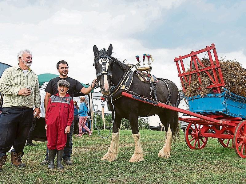 Knock Threshing Festival promises fun for all in Laois!