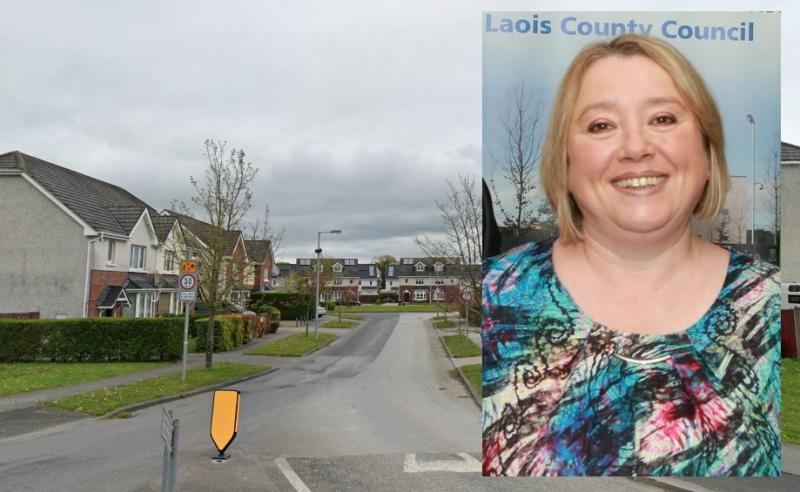 Laois councillor pleads for council to take over her housing estate