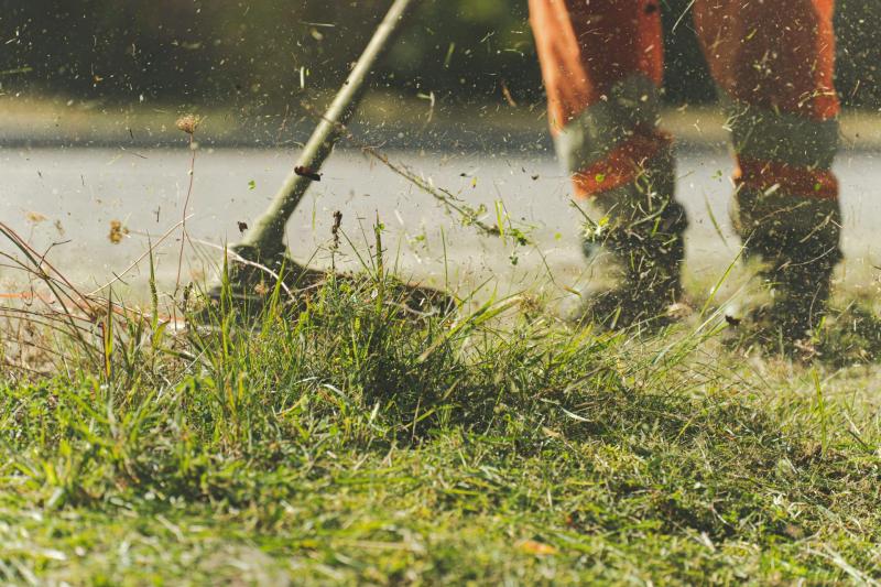 Laois Tidy Towns group 'struggling' with upkeep of village greens