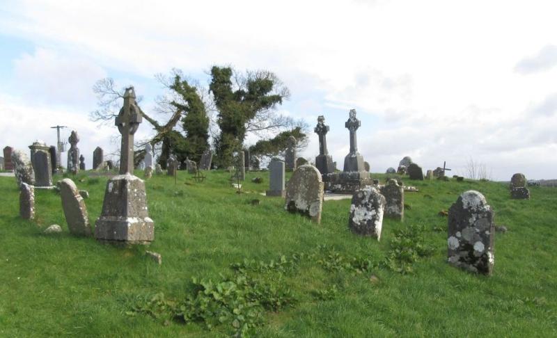 Laois graveyard 'urgently needs overgrowth removed' says Councillor