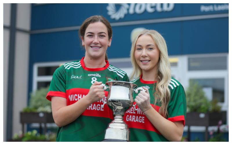 Graiguecullen aim to turn final appearances into triumph in quest to become Intermediate champions 