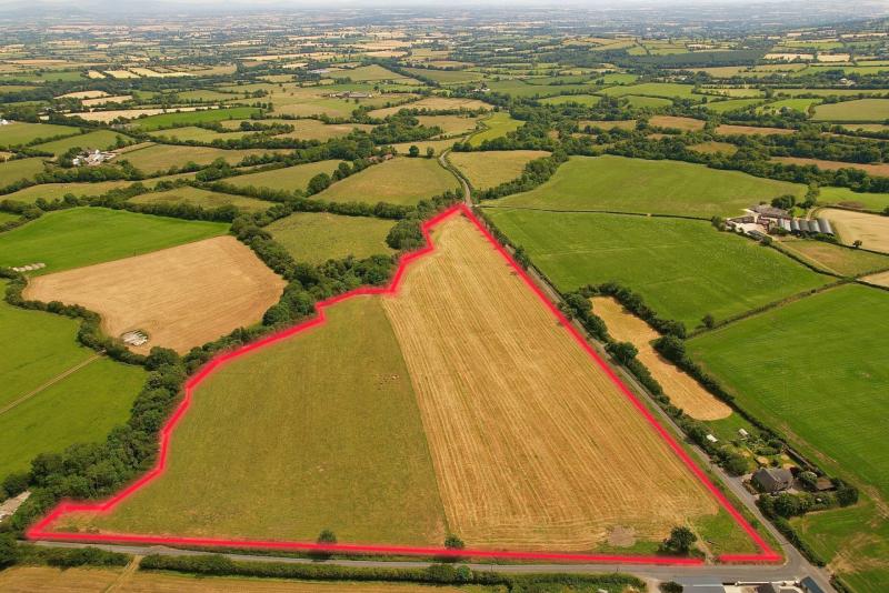 Laois local buys substantial plot of agricultural land at auction 