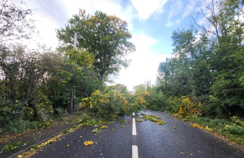 WARNING: Road into Laois town blocked as Storm Amy knocks tree down