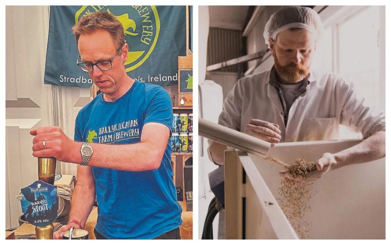 Two Laois companies recognised for sustainability 