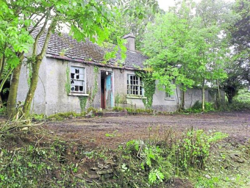 €5 million fund sees 100 vacant properties in Laois returned to active use