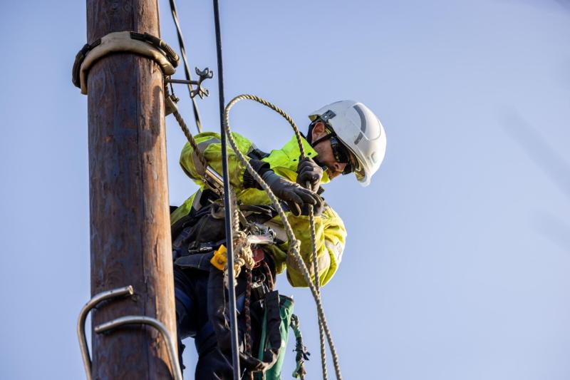 Major blackout: 700 Laois homes without power as vehicle knocks ESB pole