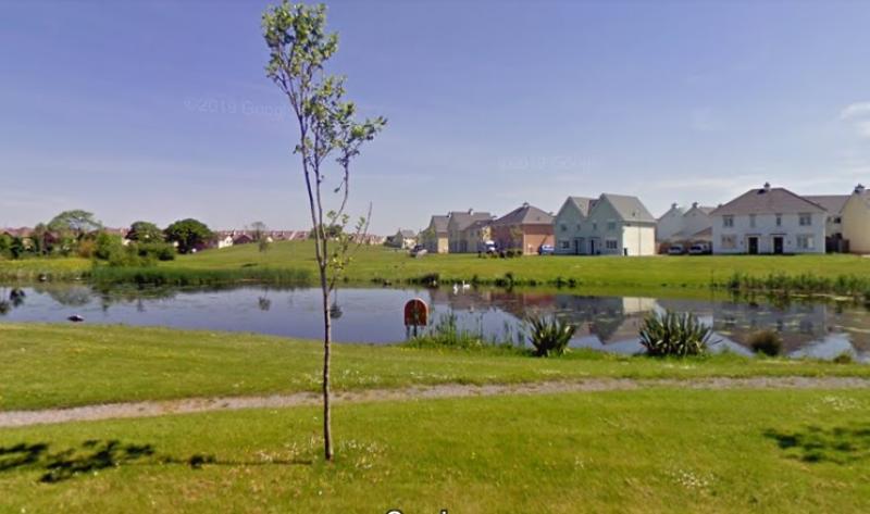 Laois Celtic Tiger housing estate getting its first ever residents association