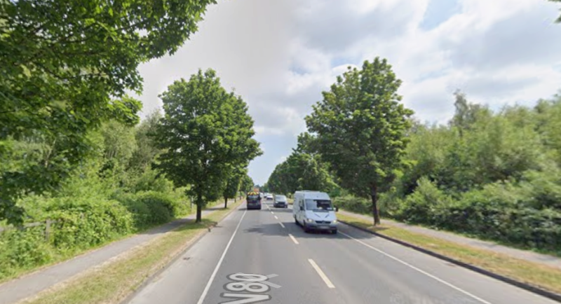 Call to remove trees along Laois road