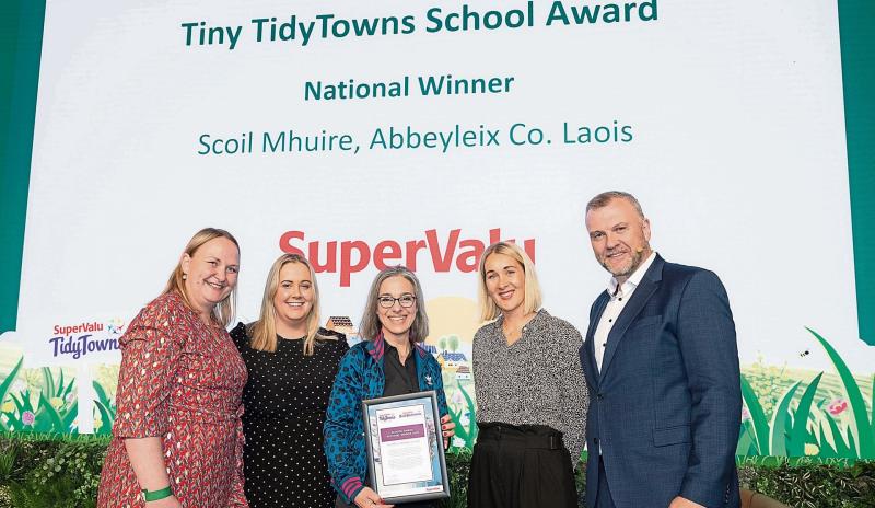tidy towns laois abbeyleix