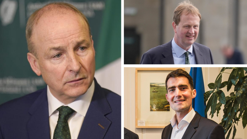 Who could be the next Fianna F&aacute;il leader? Five contenders to replace Miche&aacute;l Martin