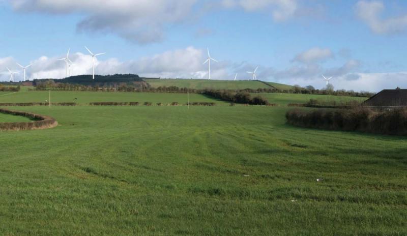 Laois group takes Coillte windfarm plan to European Court again