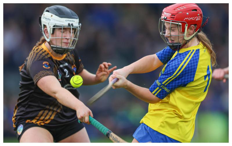 Heartbreak for St Lazarian’s Abbeyleix as Dunboyne crowned Leinster Club Junior Camogie champions