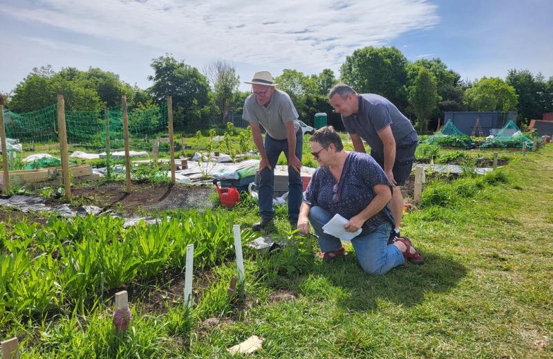 Excitement grows in Laois with launch of new community garden