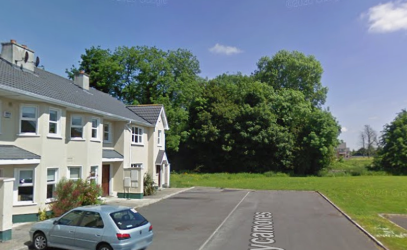 Plans for a dozen new Portarlington homes rejected