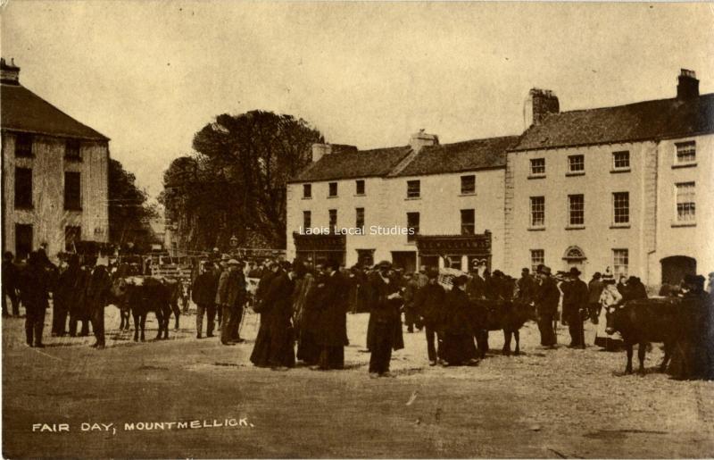 Upcoming seminar explores fascinating heritage of Laois