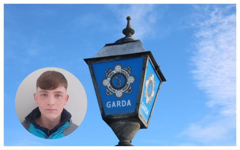 Have you seen Alex? Garda&iacute; appeal for 16-year-old missing three days