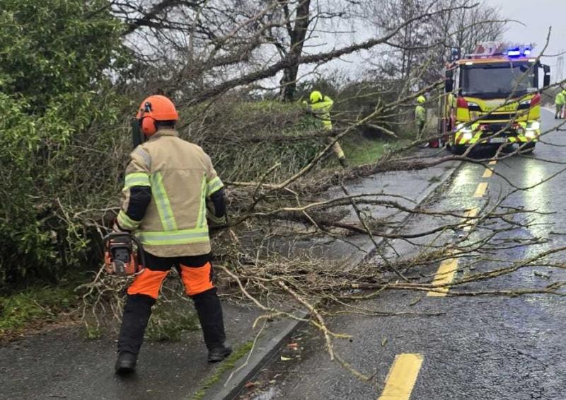 Storm Bram: More Laois homes lose power with trees falling on roads