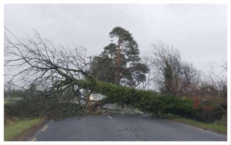 LIVE: Laois hit with widespread disruptions as Storm Bram rips through country