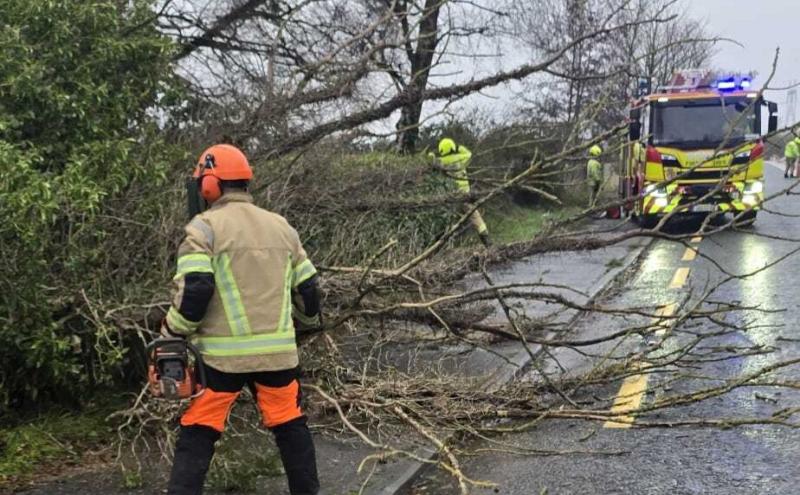Revealed: Full extent of Storm Bram damage across Laois