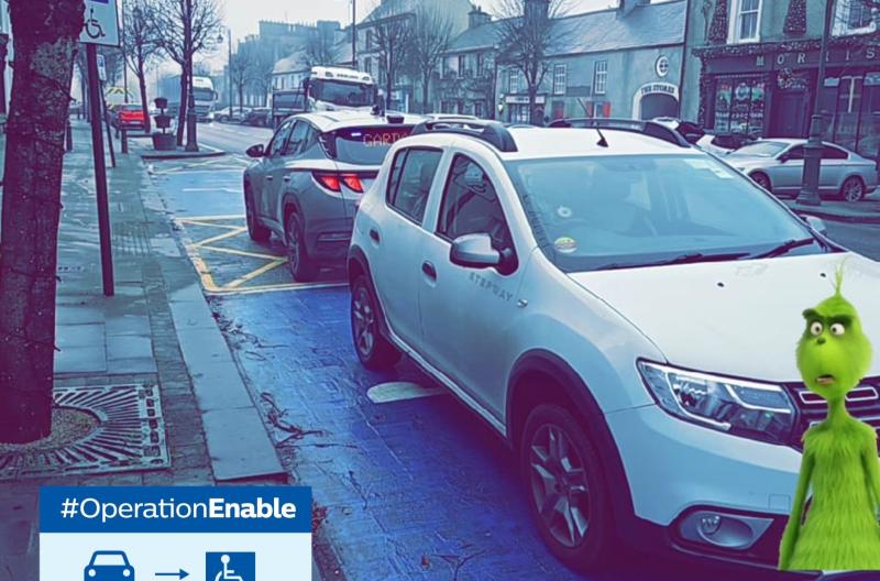 Laois Garda&iacute; stop 'Grinch' stealing disabled parking spaces this Christmas
