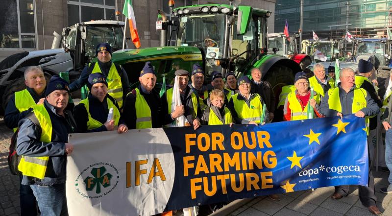 IFA laois francie gorman