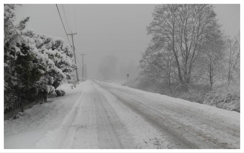 Laois hit with Status Yellow ice warning as country braces for Arctic blast