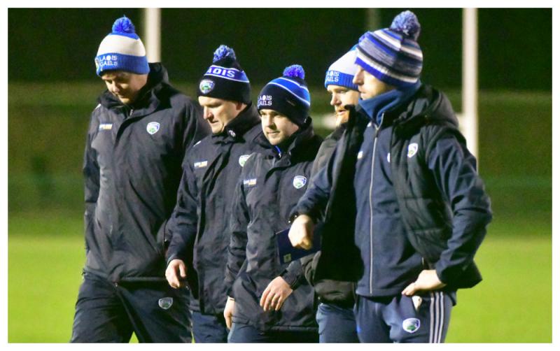 &lsquo;Everyone&rsquo;s got a crack of the whip&rsquo; as Tommy Fitzgerald prepares to cut Laois senior hurling panel