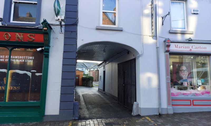 Salt alternative therapy business planned in Portlaoise