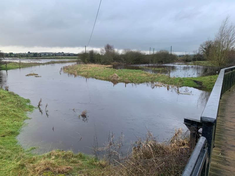 storm Chandra portarlington mountmellick