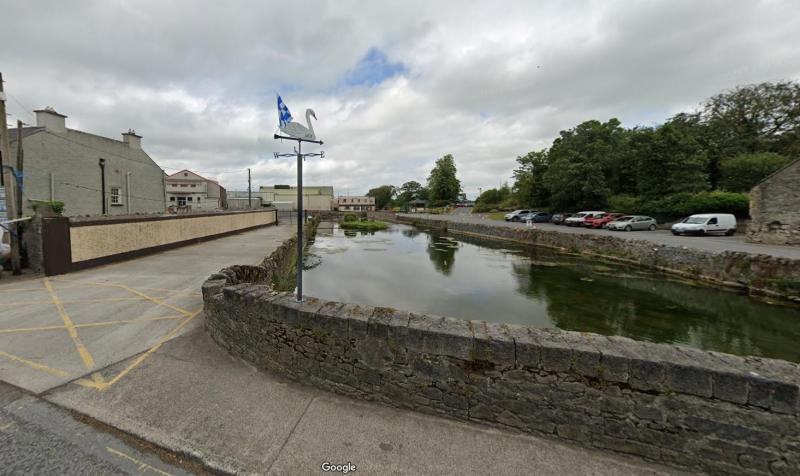 Laois Council unable to fund &euro;80k project on Dawn Meats owned pond