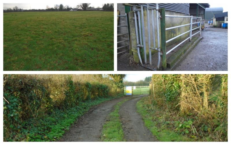Substantial amount of Laois land leased at auction 