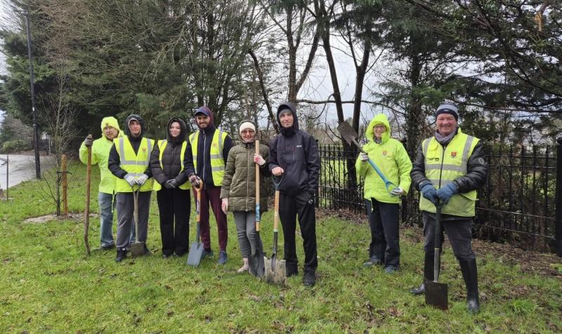 Laois Tidy Towns group giving away hundreds of free native trees