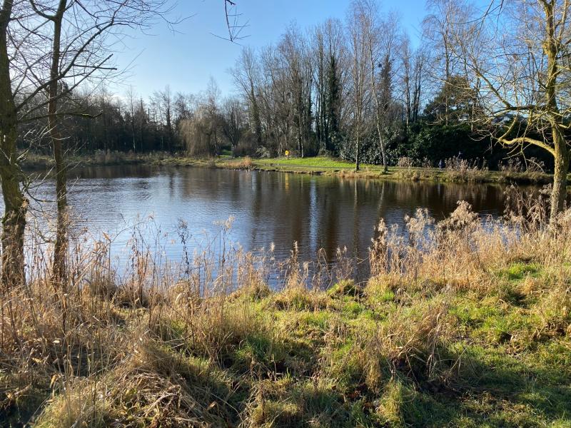 Public meeting on water quality issues in Laois 