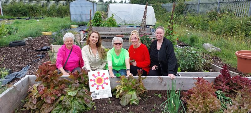 Green light as Portlaoise school offers to share site with new allotments