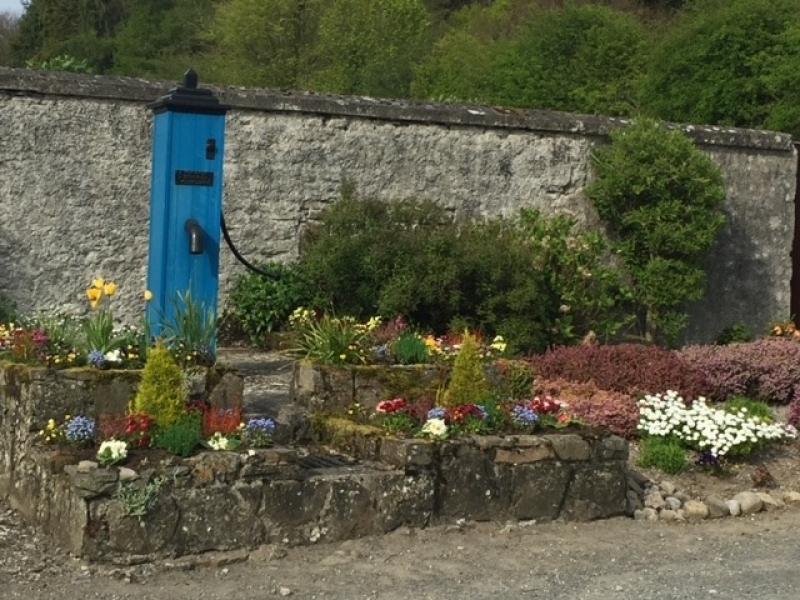 Historical Laois timber pump to get full heritage restoration works