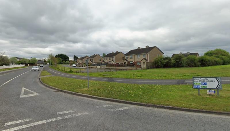 'Capping literally cleaved off' wall damage in Laois housing estate