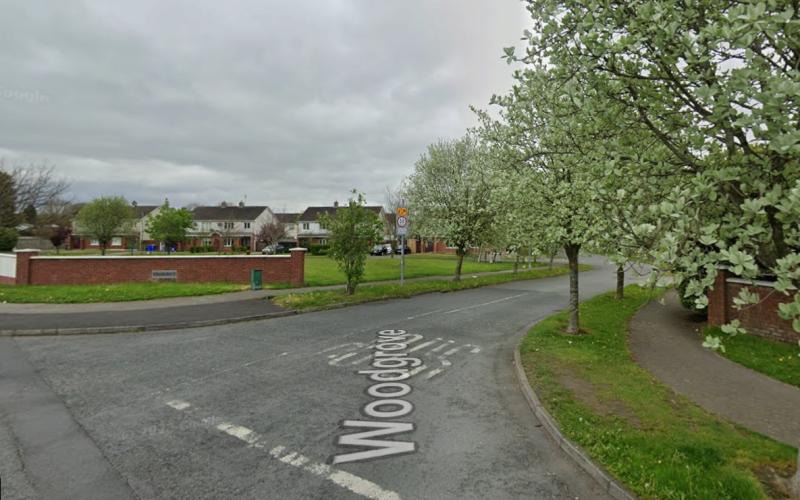 'Capping literally cleaved off' wall damage in Laois housing estate